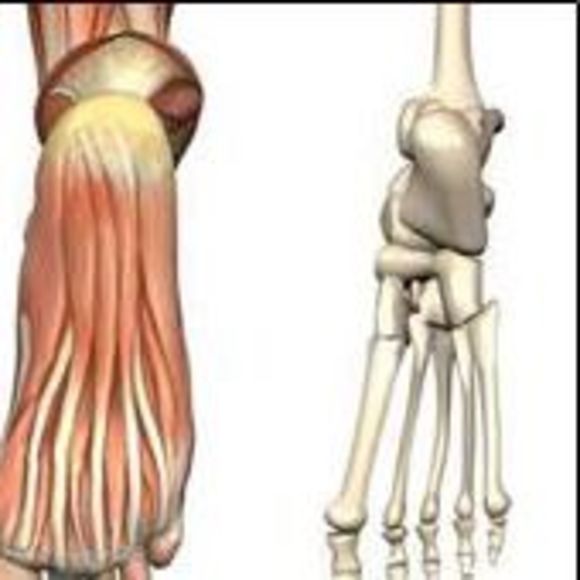 Meet your Posher, Kessa - Picture 1 of 1